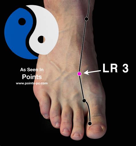 lv 3/4|Lv 3 acupressure point.